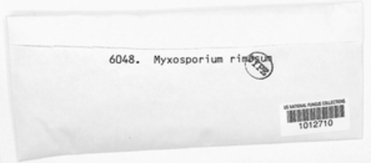 Sclerophoma rimosa image